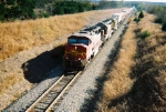 BNSF GP60M 141